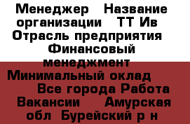 Менеджер › Название организации ­ ТТ-Ив › Отрасль предприятия ­ Финансовый менеджмент › Минимальный оклад ­ 35 000 - Все города Работа » Вакансии   . Амурская обл.,Бурейский р-н